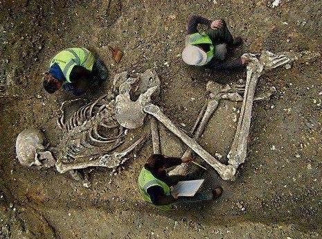 scheletro di gigante