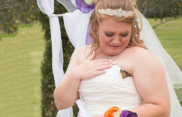 Farfalla si posa sul vestito della sposa
