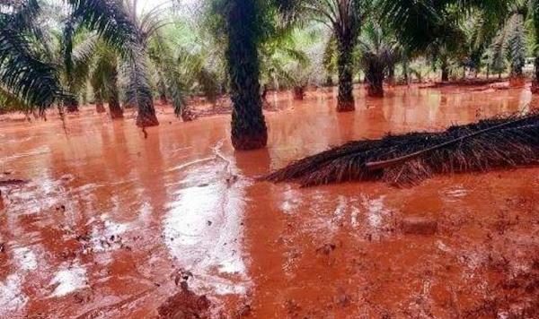In Malesia l'estrazione della bauxite ha causato un disastro ambientale