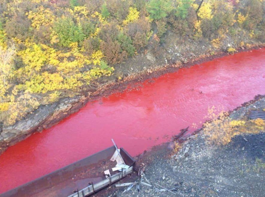 Siberia, il fiume Daldykan si è tinto di rosso