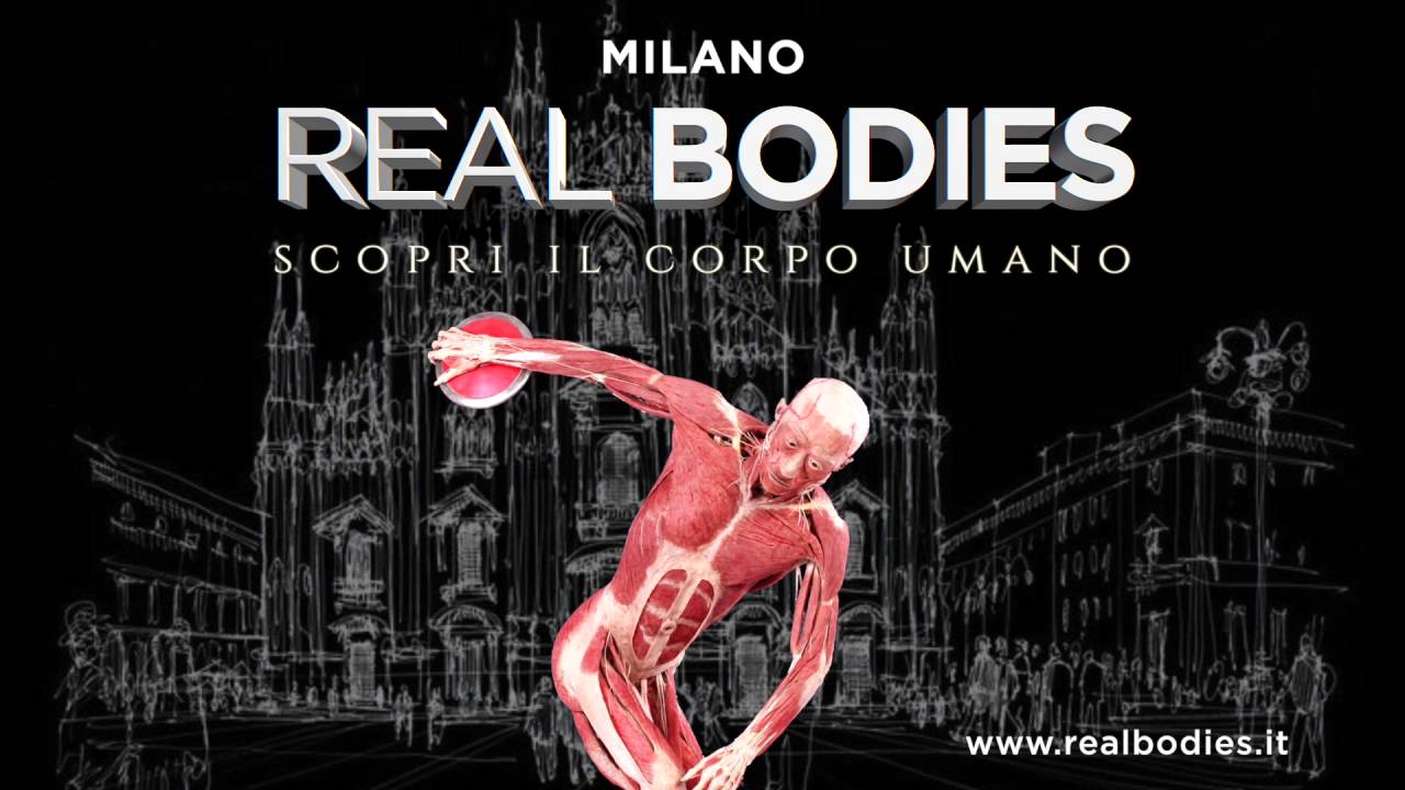 Real Bodies: la mostra sul corpo umano a Milano