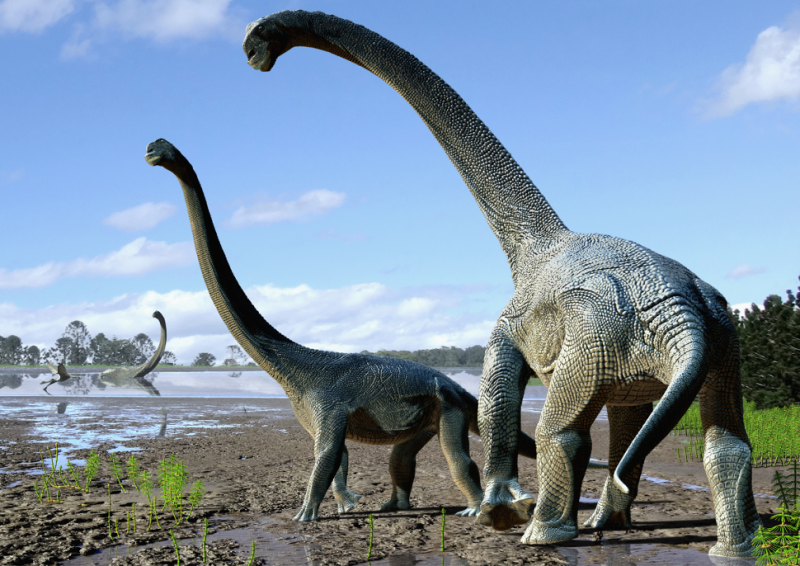 Australia, scoperta nuova specie di dinosauri